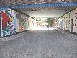 555 Ellice Avenue (1)