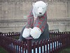 Bears on Broadway (41)